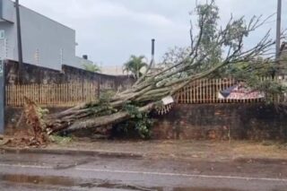 Temporal forte atinge Paraná e causa danos em Cascavel e outras cidades