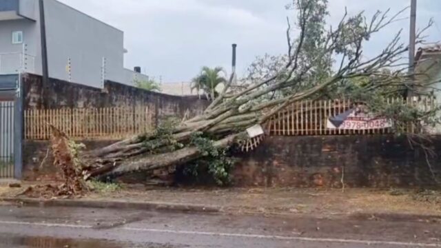 Temporal forte atinge Paraná e causa danos em Cascavel e outras cidades