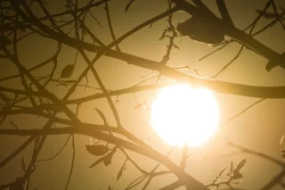 Cuiabá realiza desfile de 7 de Setembro à noite devido ao calor intenso