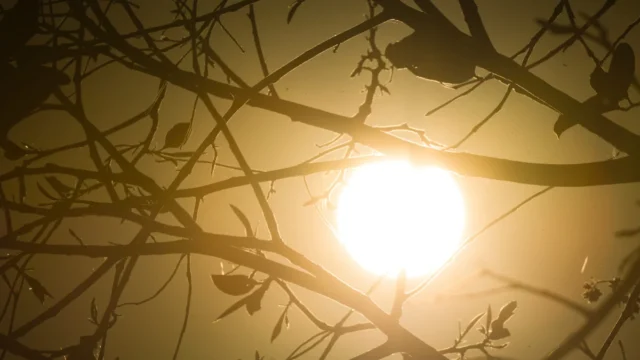 Cuiabá realiza desfile de 7 de Setembro à noite devido ao calor intenso