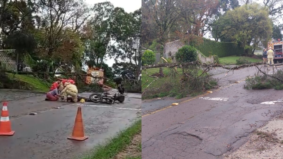 Árvore cai sobre moto durante atendimento dos bombeiros em Curitiba