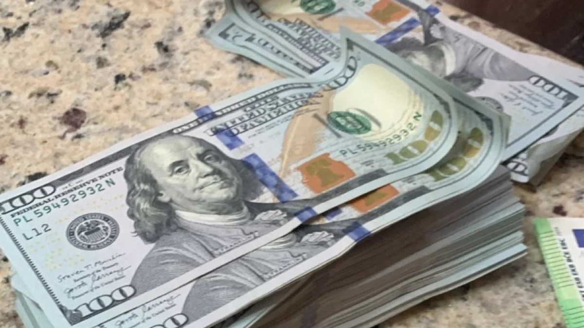 Dólar Cai e Bolsa Sobe com Ações da Petrobras e Vale em Alta
