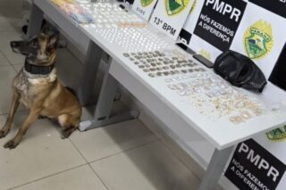 PM apreende mais de 18 kg de drogas e prende três no Parolin, Curitiba