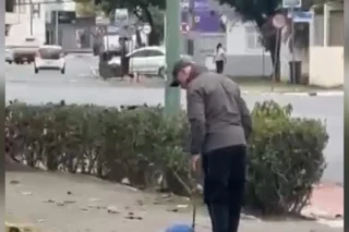 Homem é preso por bater em cachorro durante passeio
