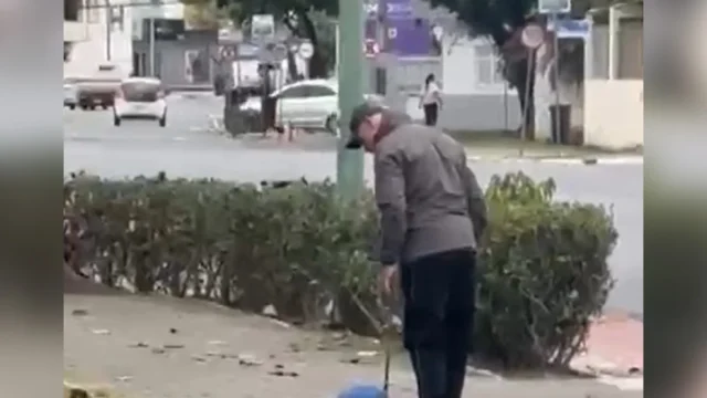 Homem é preso por bater em cachorro durante passeio