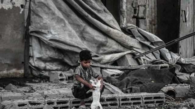 Futuro dos Palestinos na Faixa de Gaza Ainda é Incerto