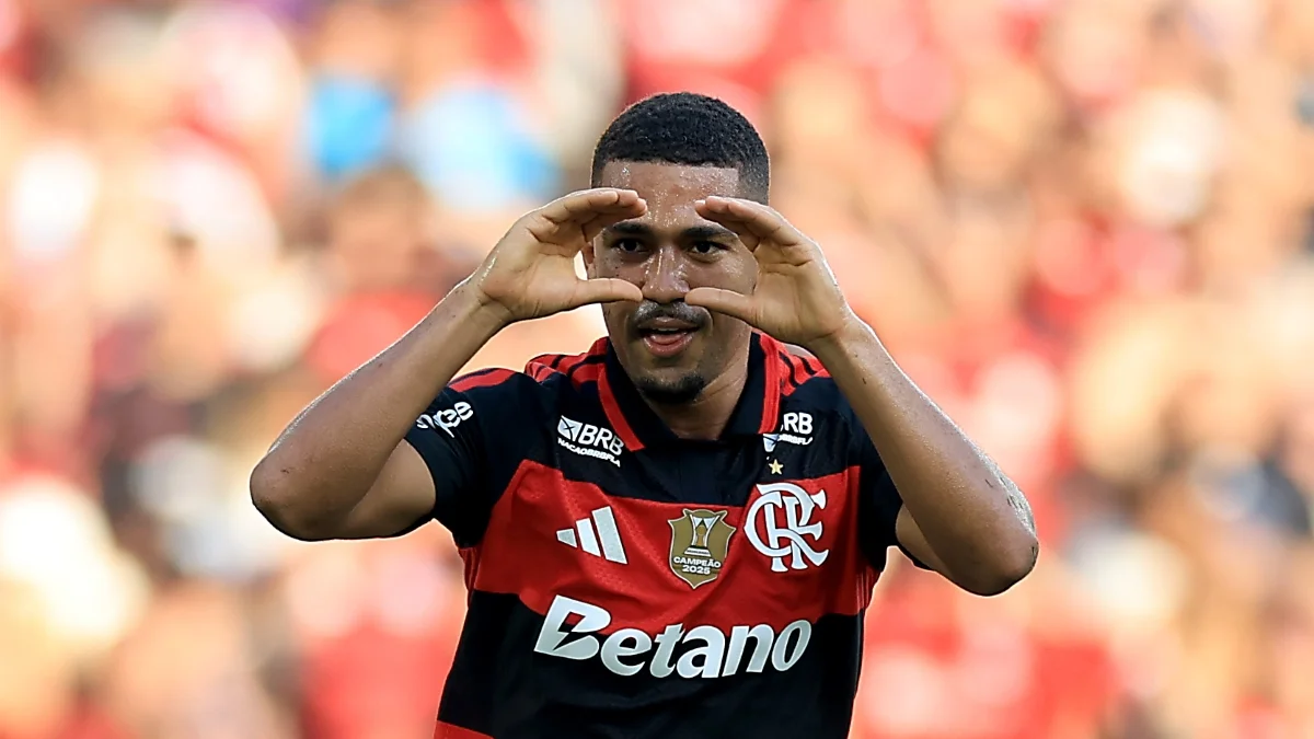 Flamengo vence o Botafogo e mantém a segunda posição no Brasileirão