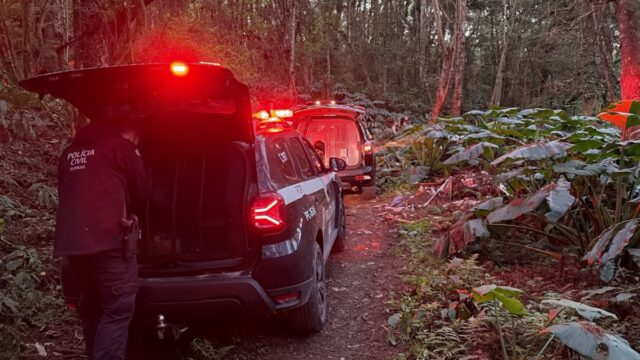 Homem mata namorada com tiro na região pélvica em Almirante Tamandaré