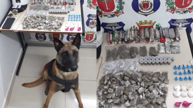 Cão farejador ajuda a polícia a prender homem com drogas no Parolin