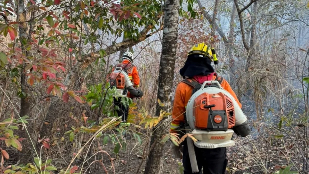 Incêndio na Chapada dos Veadeiros já destrói 1,8 mil hectares em 3 dias