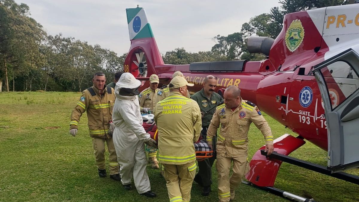 Homem fica gravemente ferido após ataque de abelhas em São José dos Pinhais