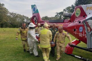 Trabalhador atacado por abelhas fica em estado grave em São José dos Pinhais