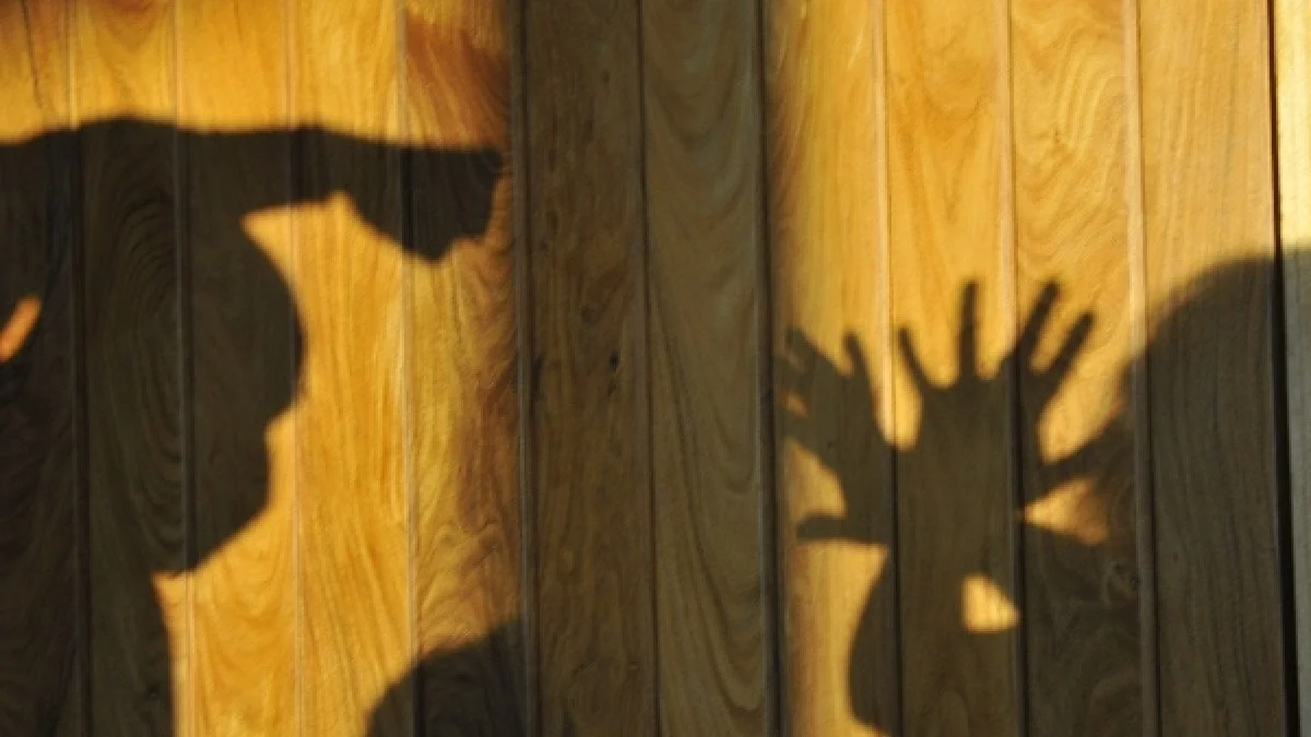 Maioria das vítimas de violência doméstica não registra casos