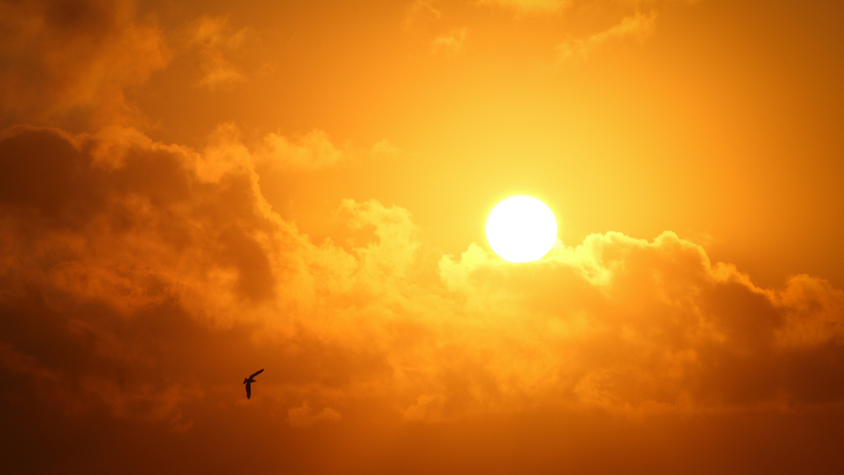 Calor intenso marca dias no Paraná com veranico chegando