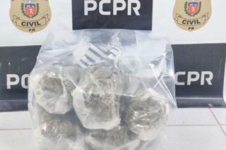 Polícia encontra 5 kg de maconha disfarçada em encomenda para Santa Catarina