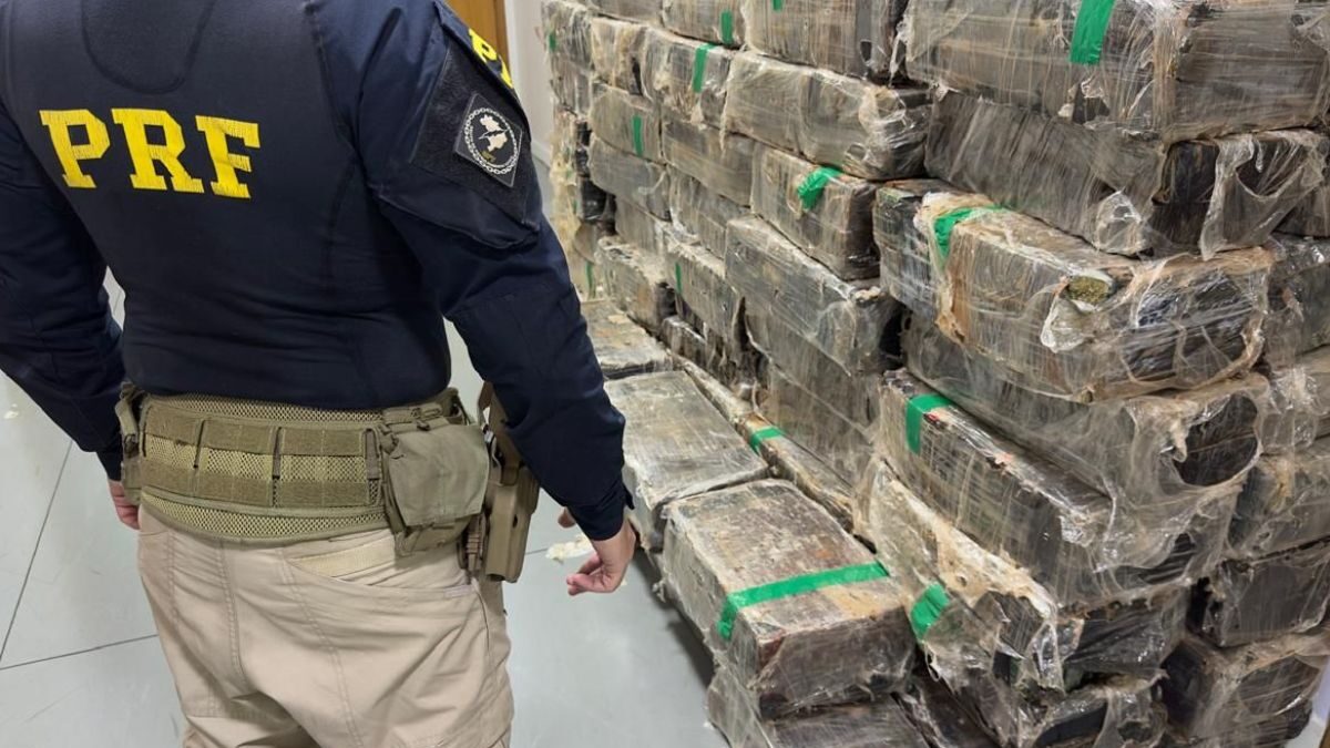 Quase duas toneladas de maconha são achadas em carga de caminhão na BR-369 no Paraná