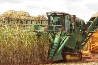 Marrocos vai fornecer fertilizantes ao Brasil para safra de 2026