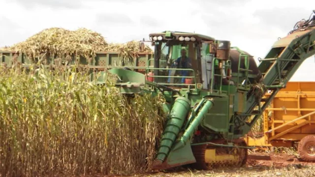 Marrocos vai fornecer fertilizantes ao Brasil para safra de 2026