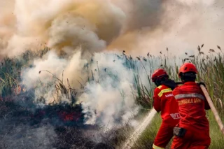 Incêndios na Indonésia podem liberar grandes quantidades de carbono