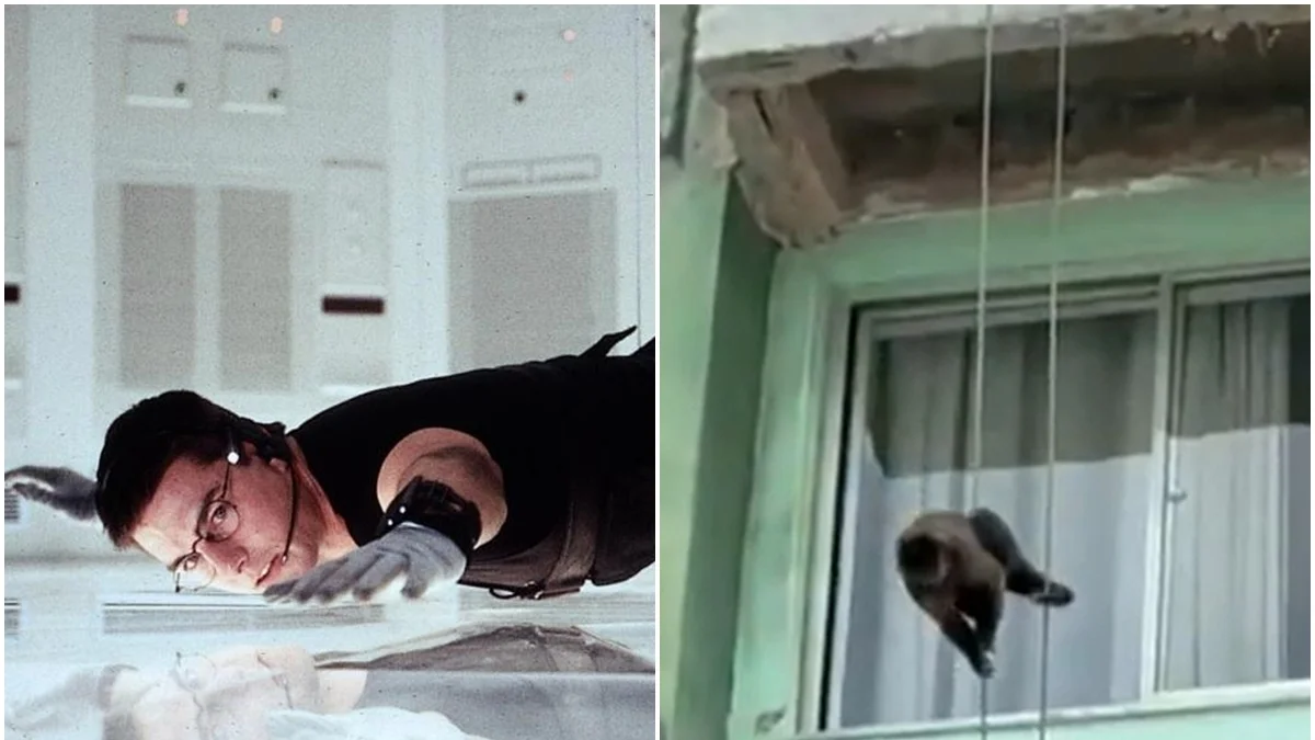Macaquinho Desce prédio do Rio como em filme de ação